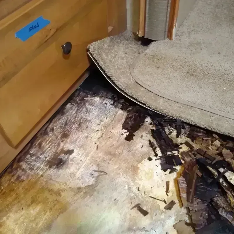 Wood Floor Water Damage in Ninety Six, SC